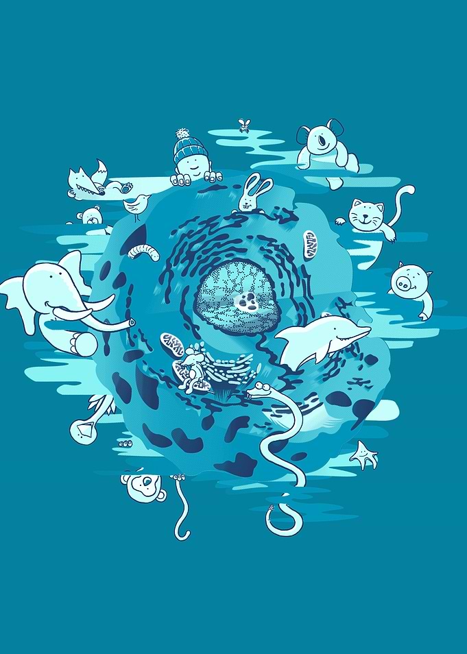 The Cell