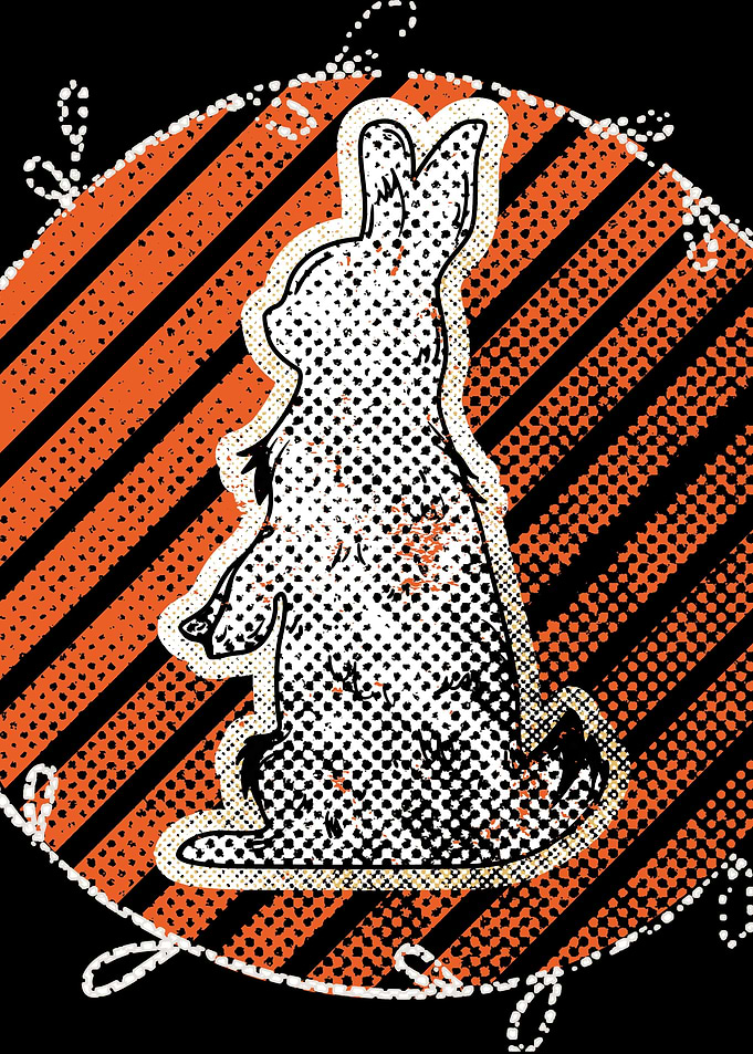 The White Rabbit At Sunset