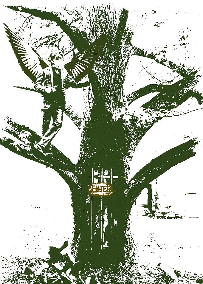 the bird man and the treehouse