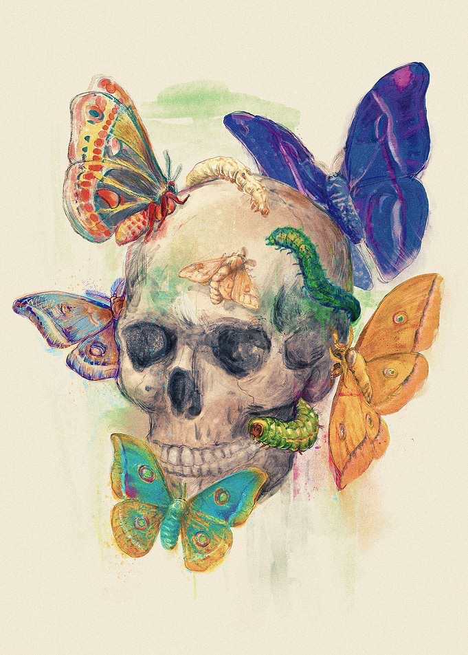House of wonders