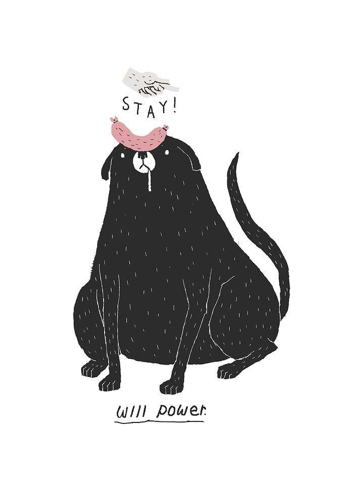 will power.
