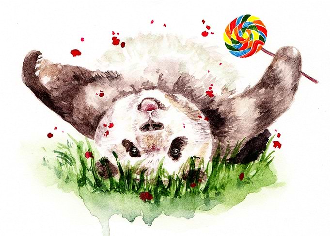 Panda