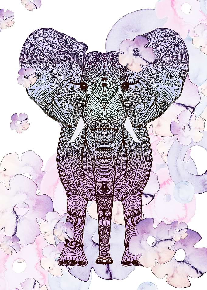 FLOWER SHOWER ELEPHANT