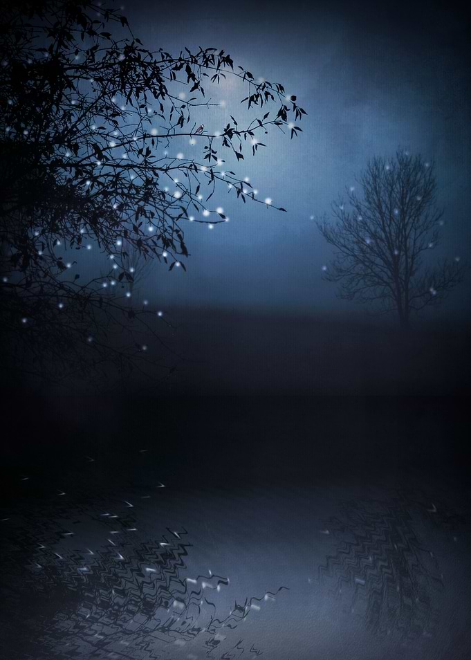SONG OF THE NIGHTBIRD