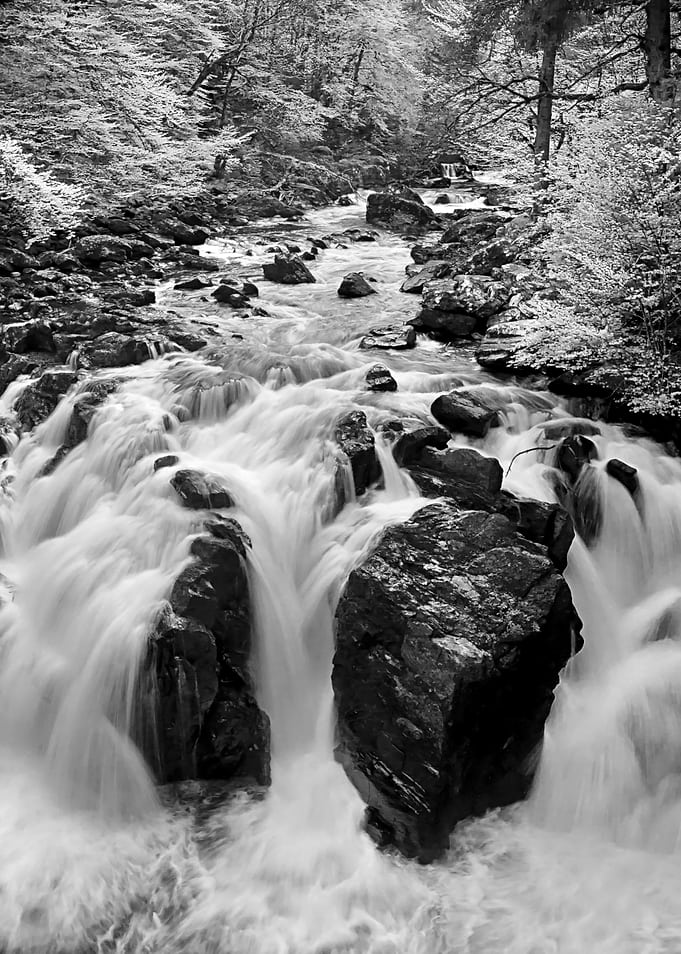 Forces of Nature
