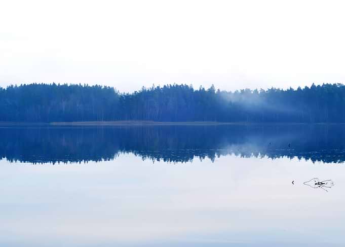 Morning Mist
