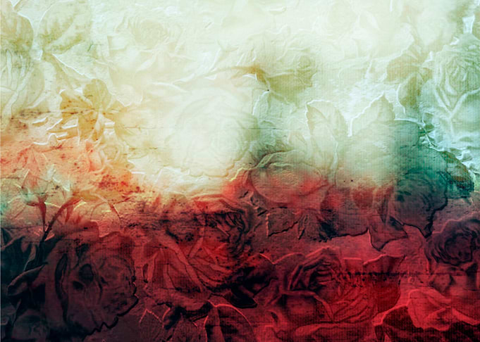 roses landscape
