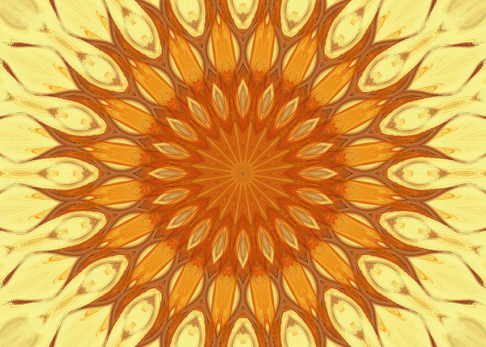 nice mandala like sweet corn in the sun