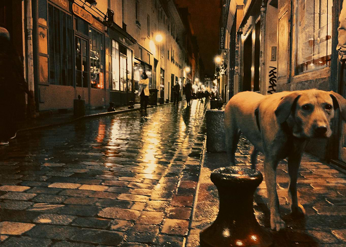 rain on the pavement