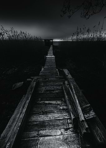 On the wrong side of the lake 2