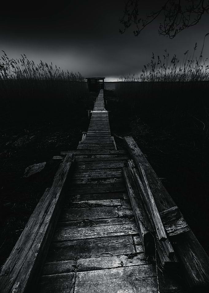 On the wrong side of the lake 2