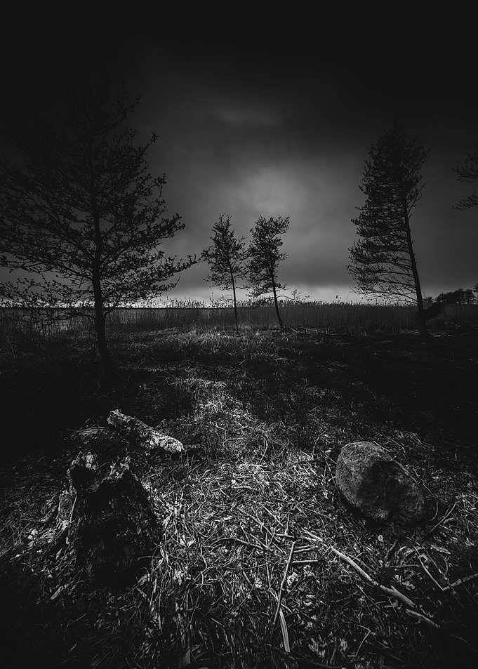On the wrong side of the lake 10