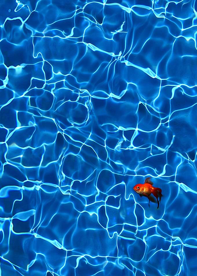Lost in the blue