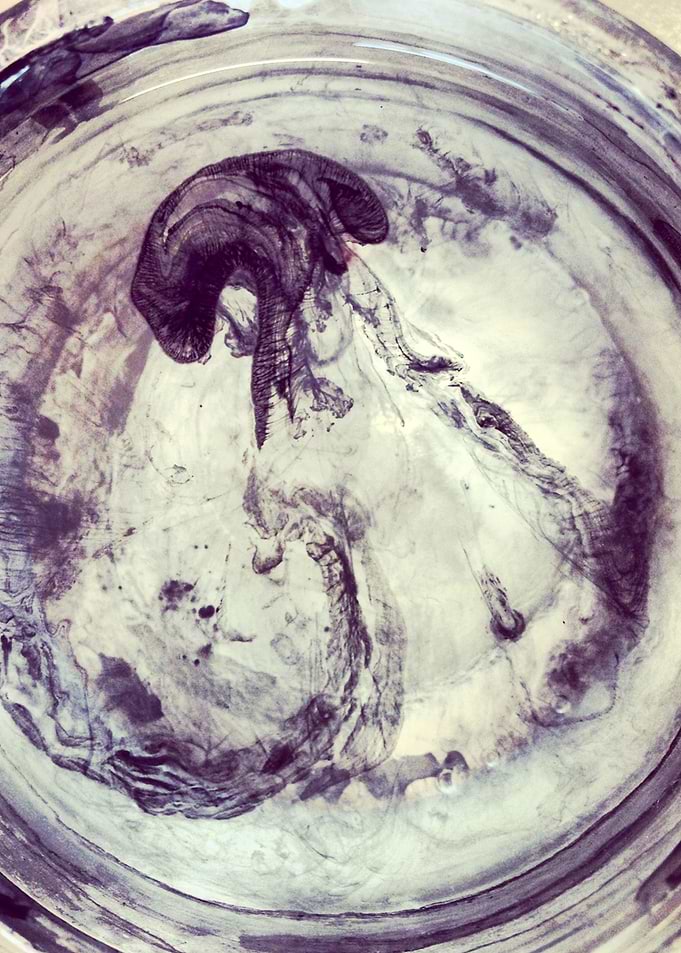 ink jellyfish