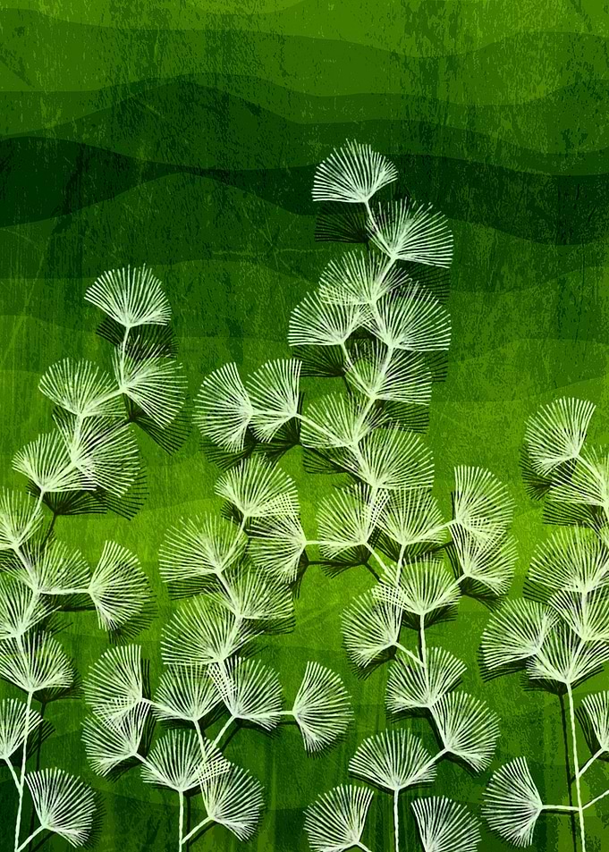 Fields of Green