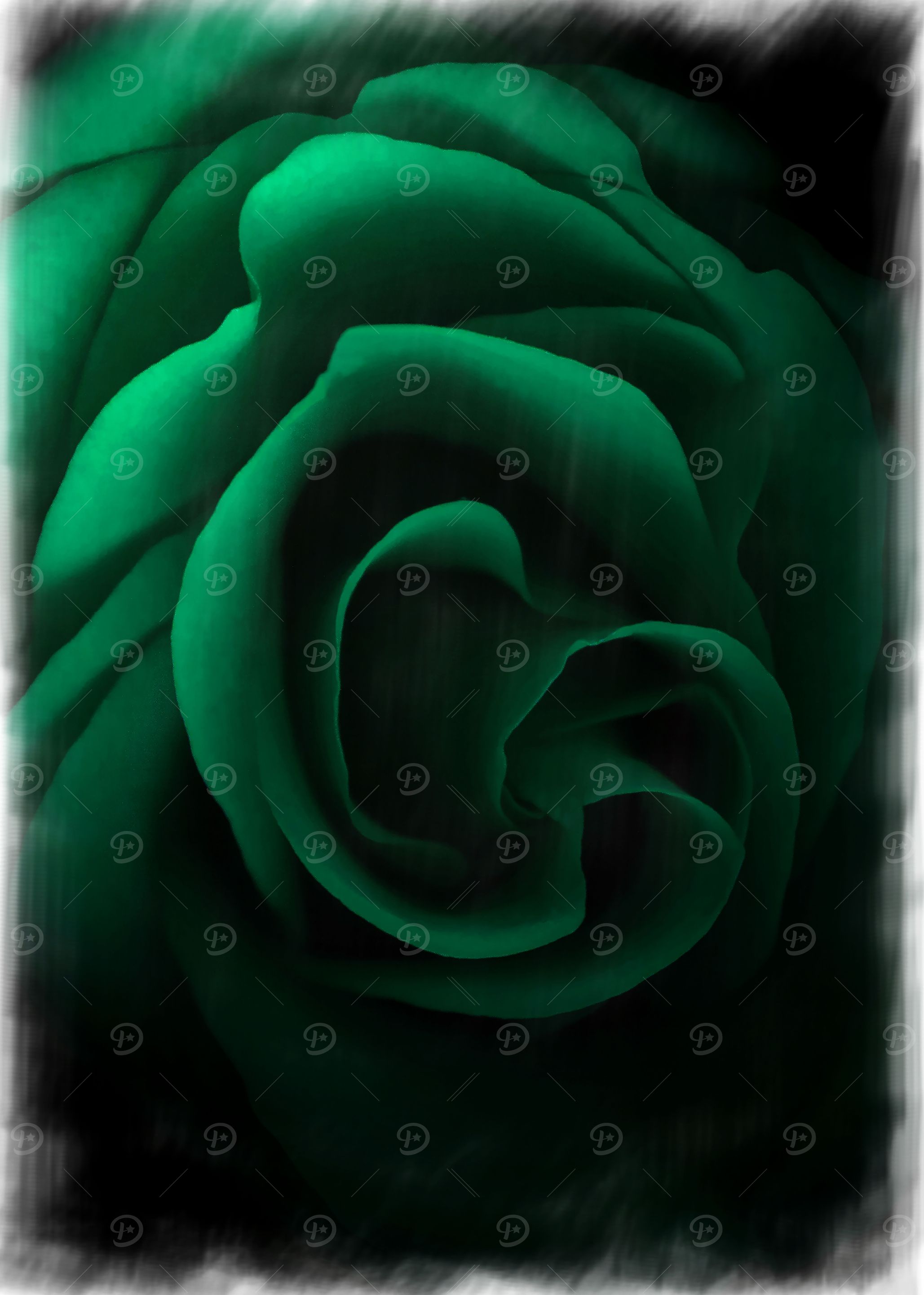 Green With Envy