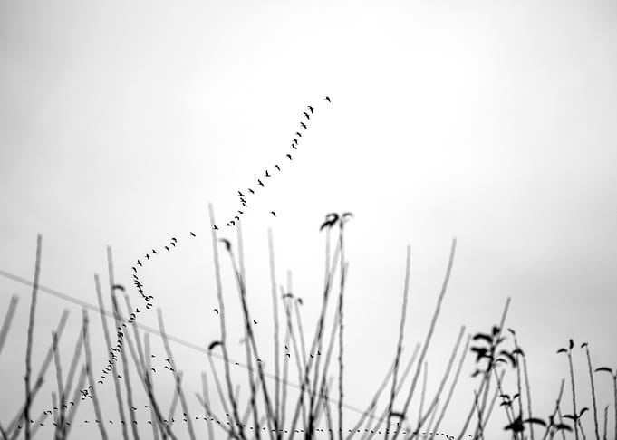 Finding A Way
