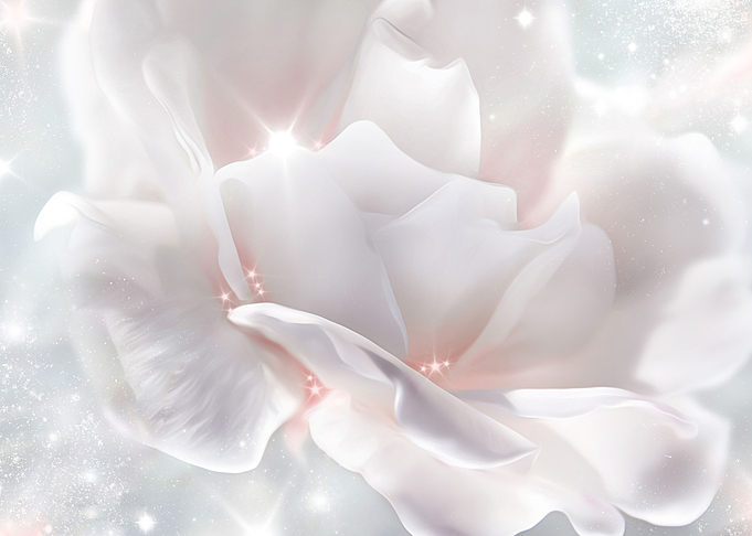 Pearl Rose