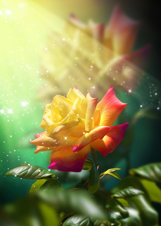 Golden Rose