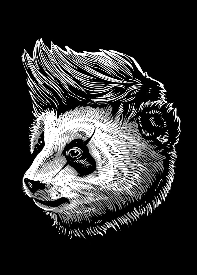 Funky Panda