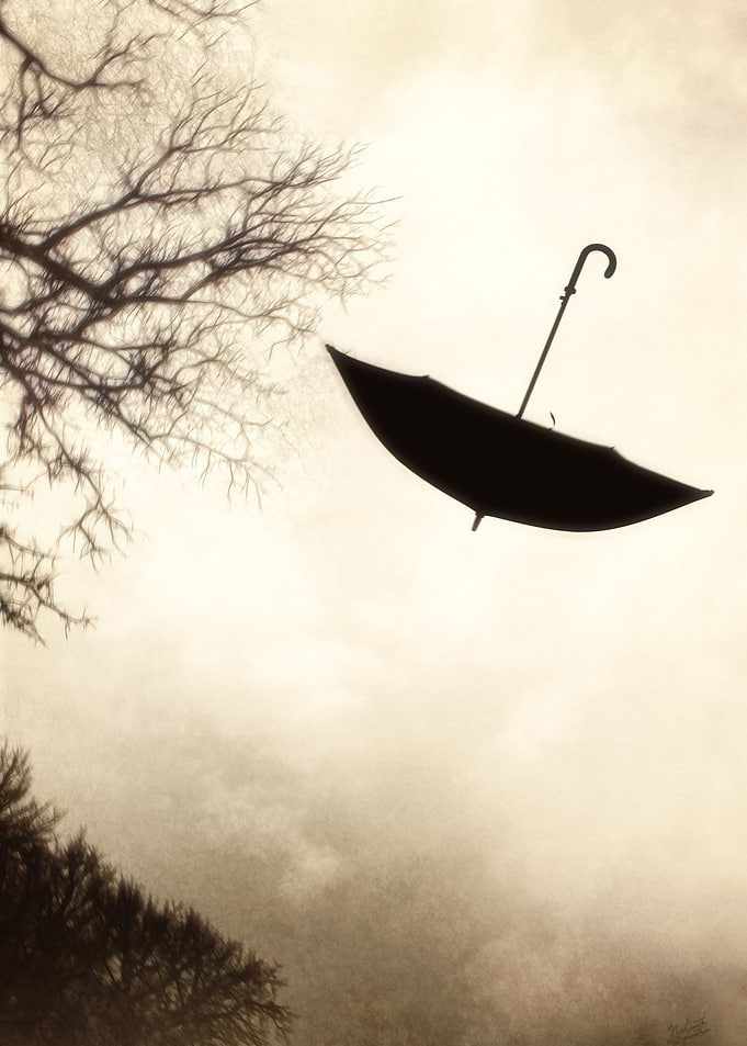 Gone with the wind