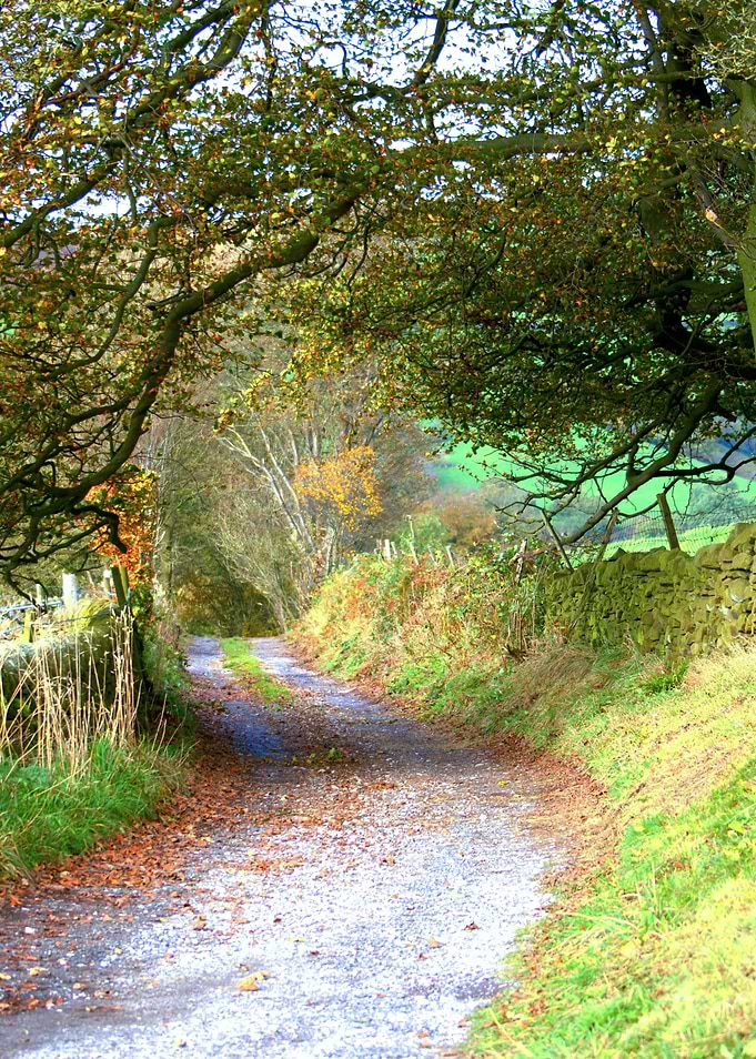 Country Road