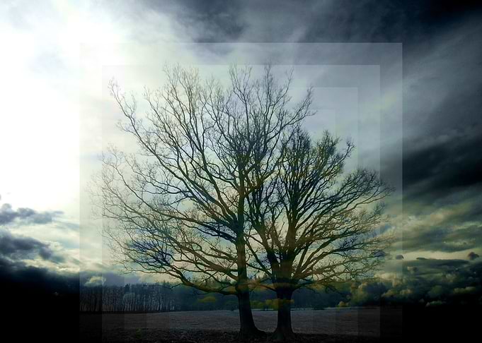 Memorable Image Photography 2014