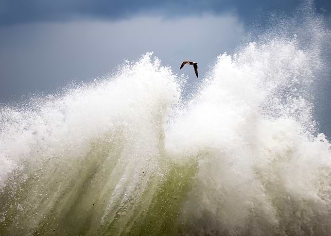 Splash