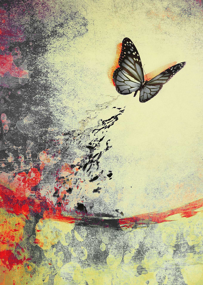 Waterfly III