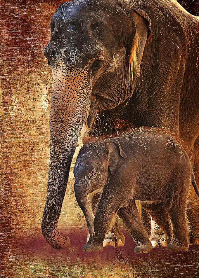 Mom is the Lead