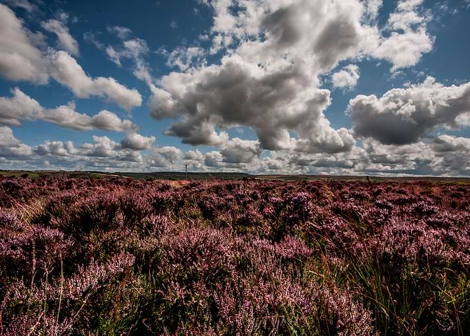 Wuthering Heights