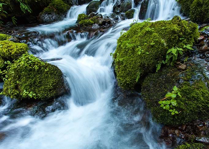 Cascading Wahkeena Creek