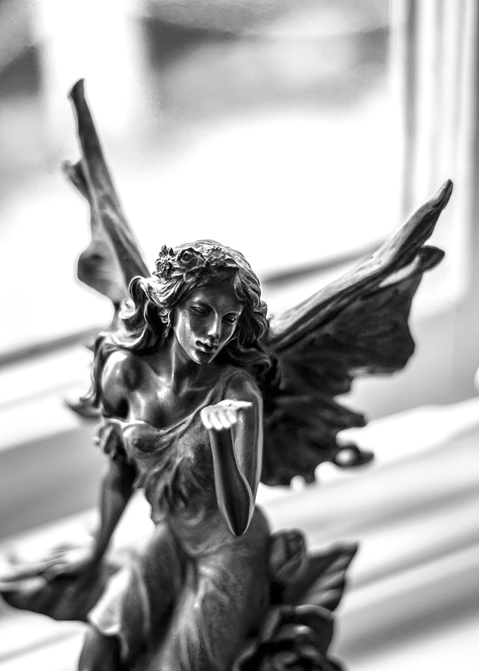 Fairy