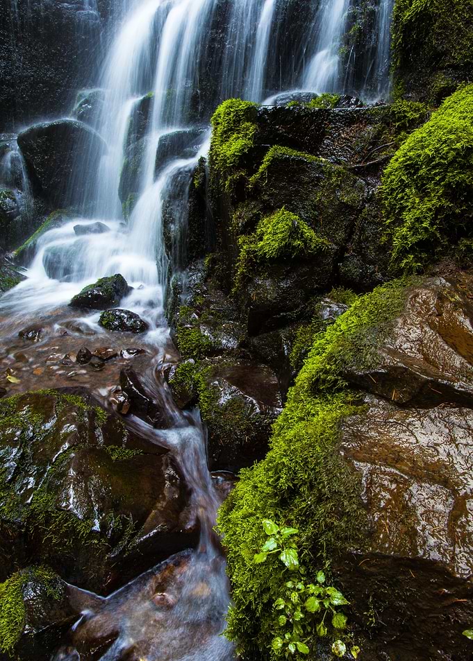 Mossy Boulders Around Fairy Falls
