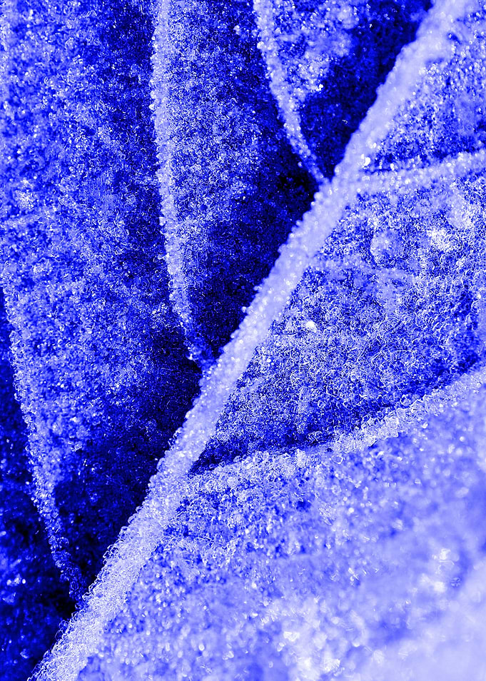 Frozen out