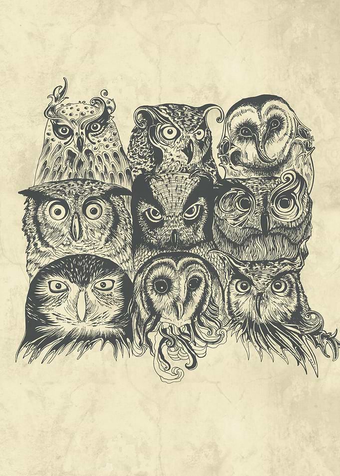 Nine Owls