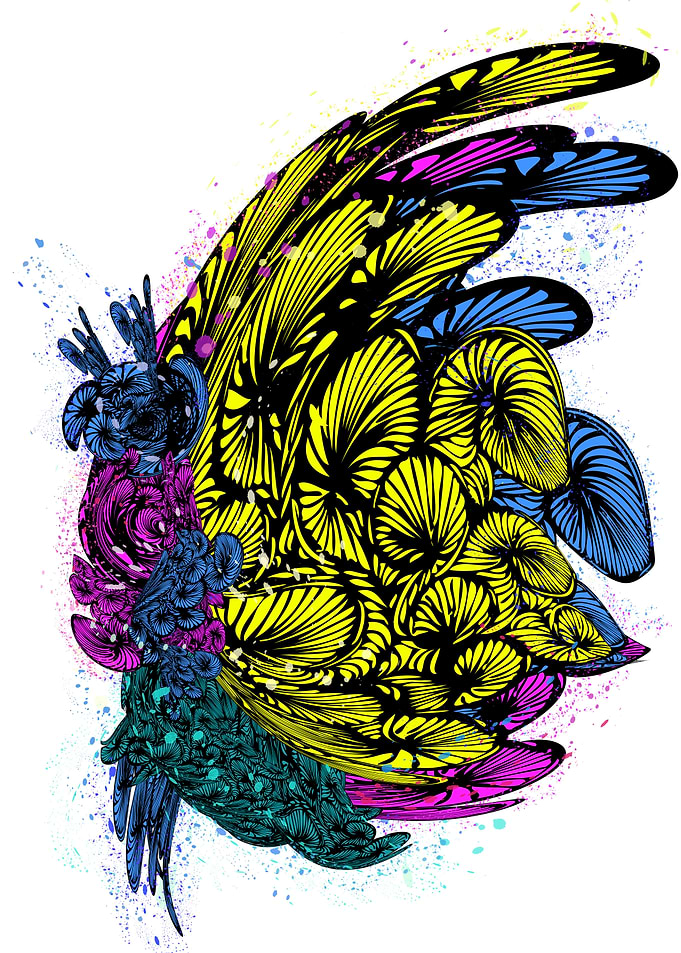 Colorful butterfly