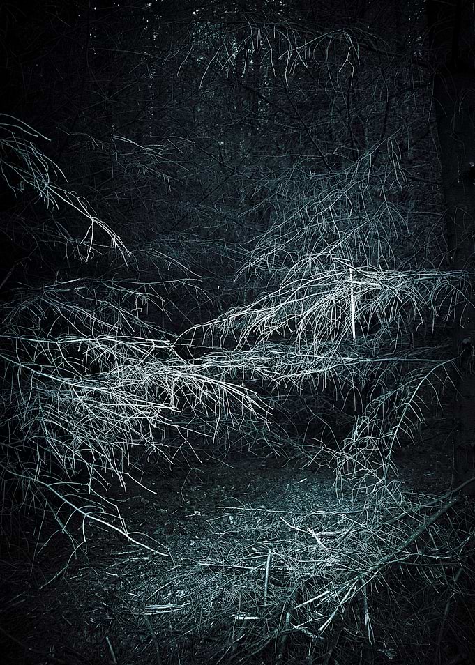 Forest of Horror