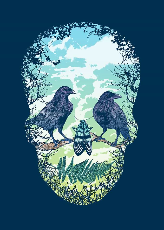 Natures Skull