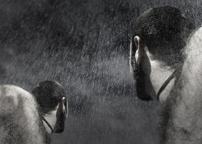 Rain