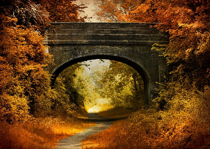 Autumn