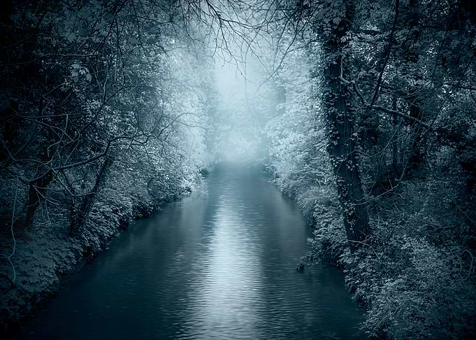 Forest River