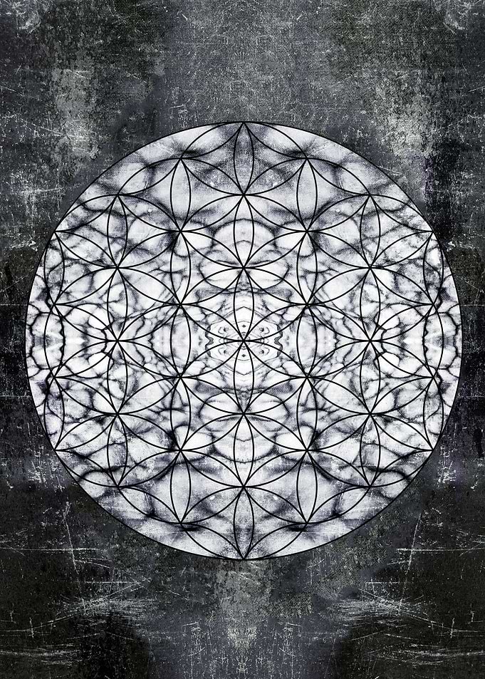 flower of life rocky
