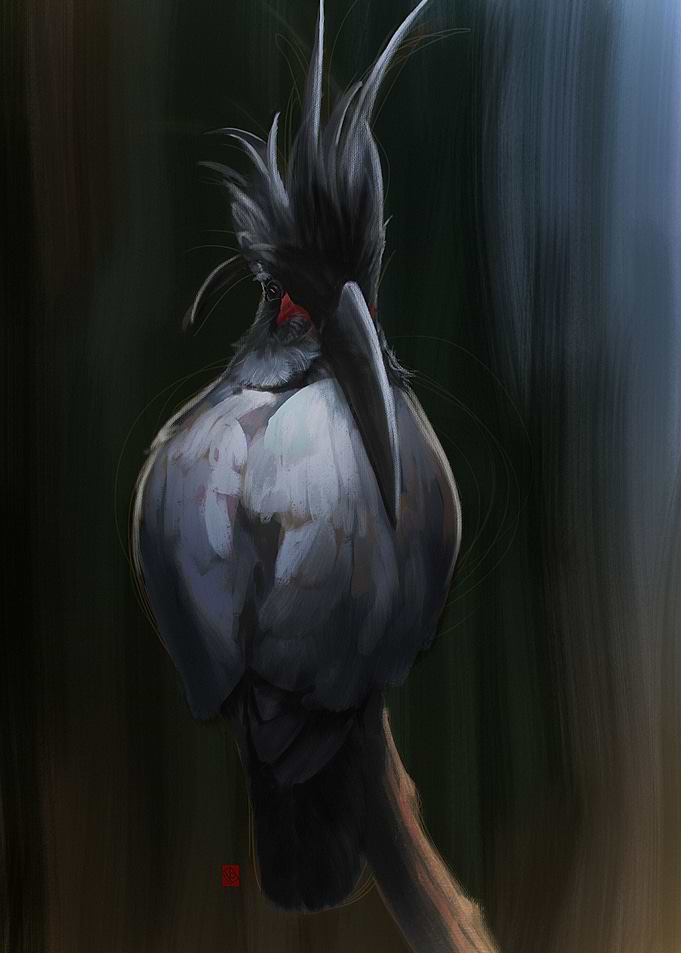 Bird 01