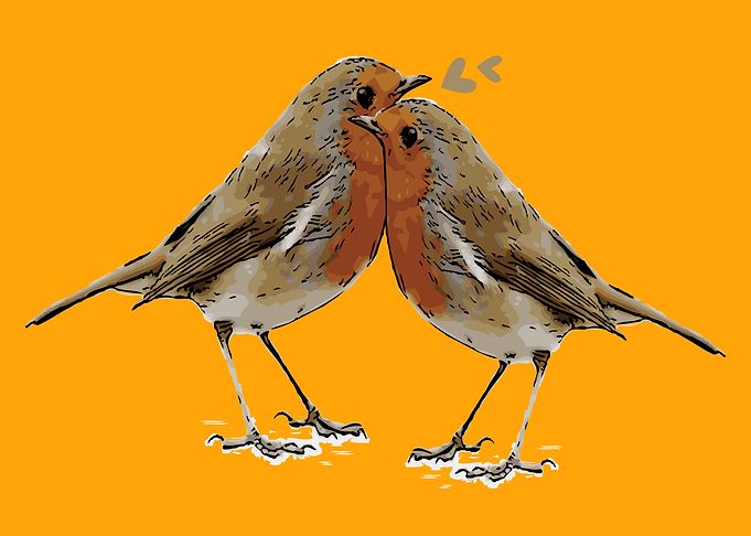 Love birds