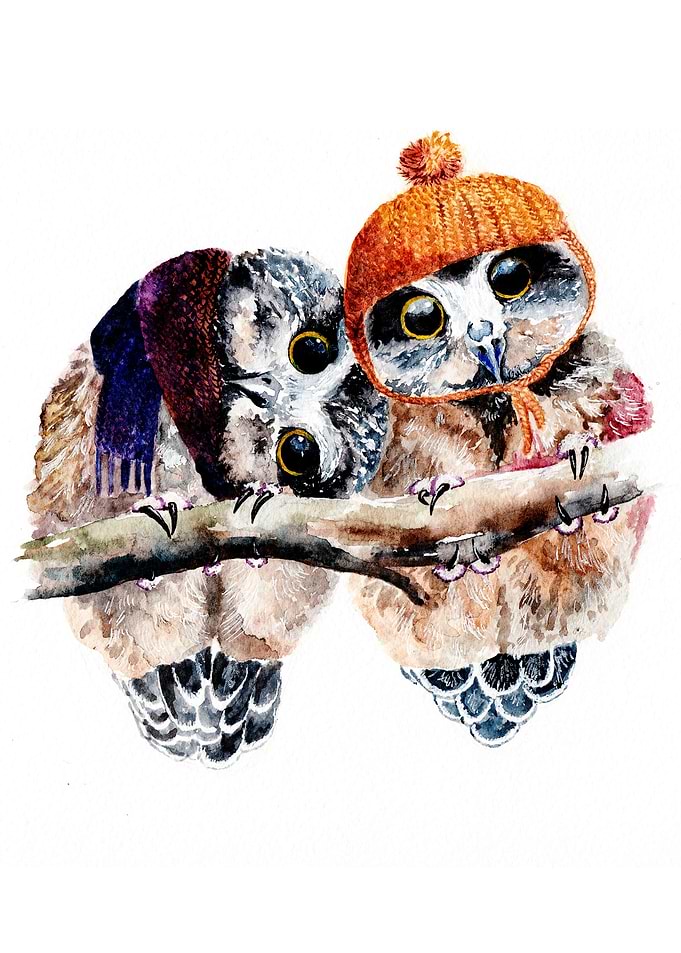 Winter Owls
