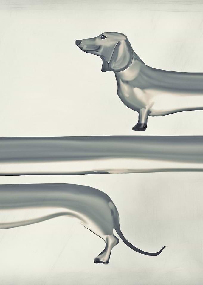 Sausage Dog by Monika Strigel