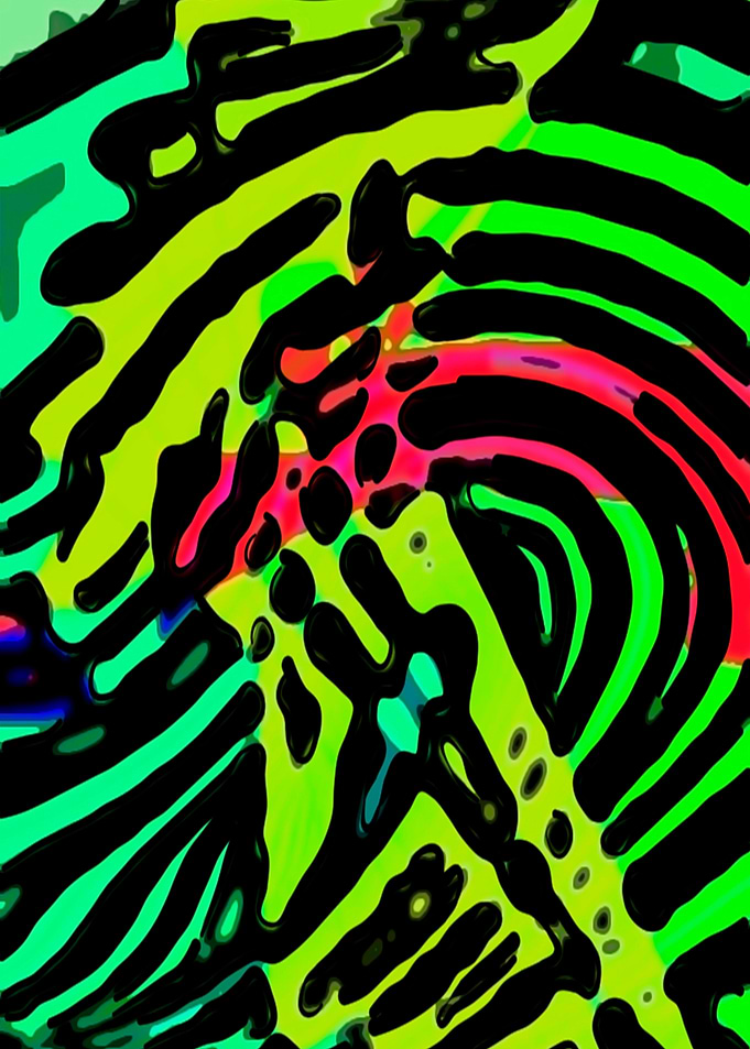 Green Zebra