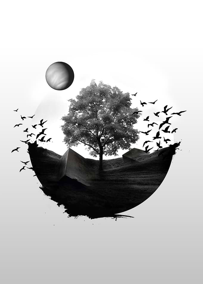 Surreal tree