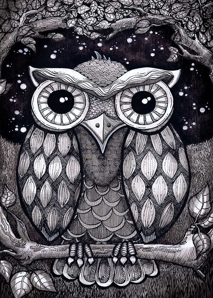 Owl II
